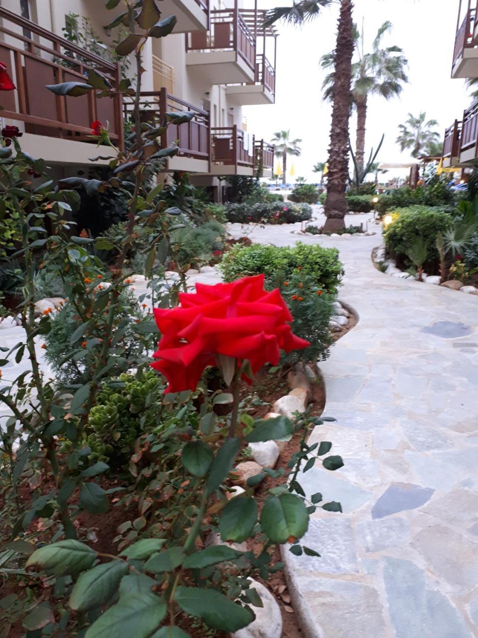 Ilian Beach & Apartments Rethymno  Exterior photo